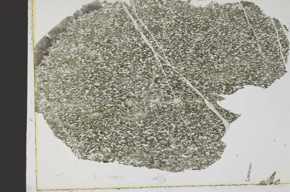Plane Polarized, S38552