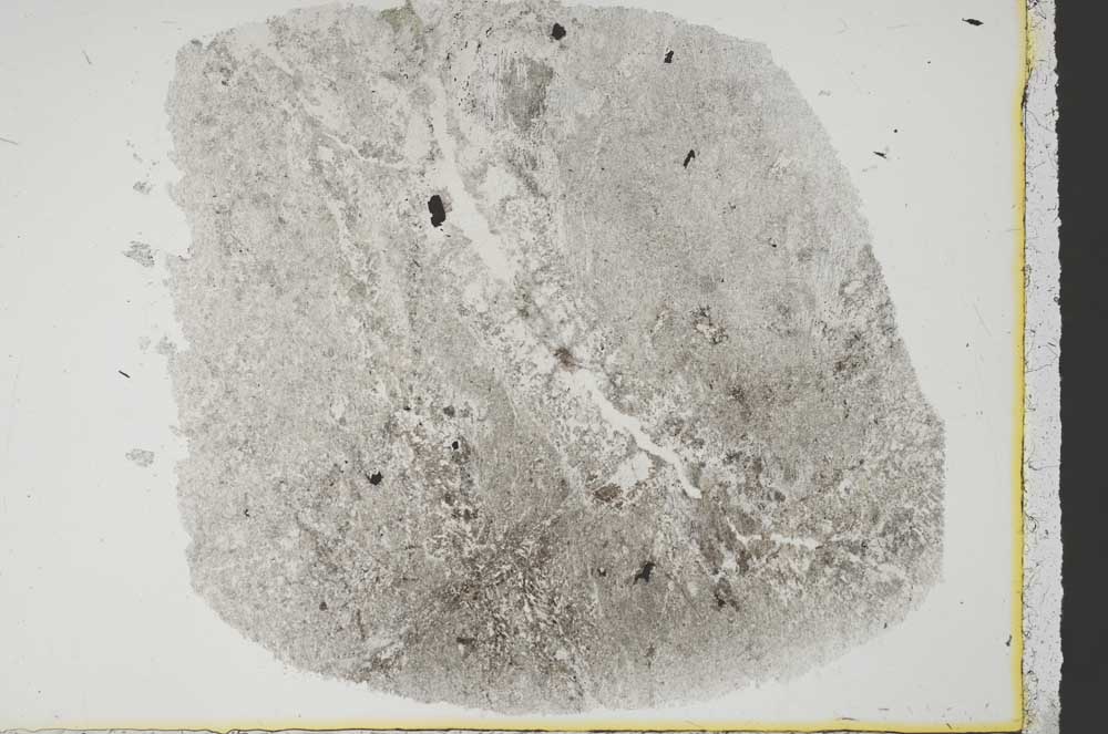 Plane Polarized, S38561
