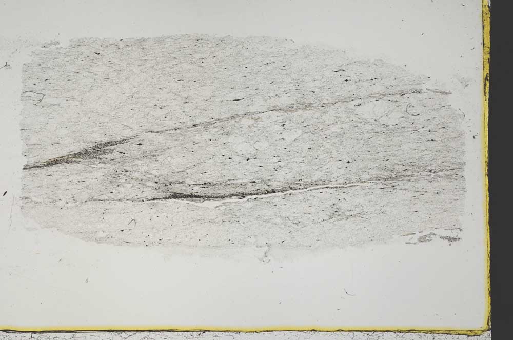 Plane Polarized, S38563