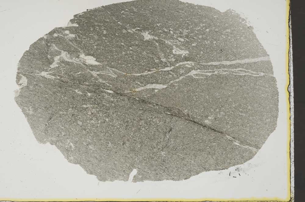 Plane Polarized, S38568