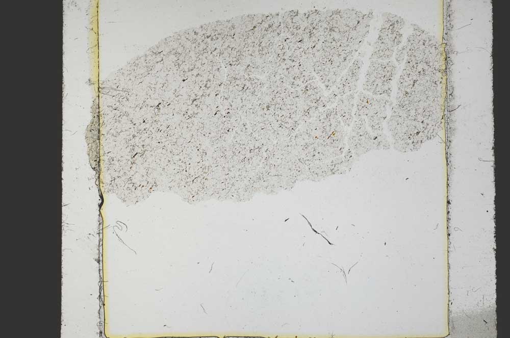 Plane Polarized, S38598