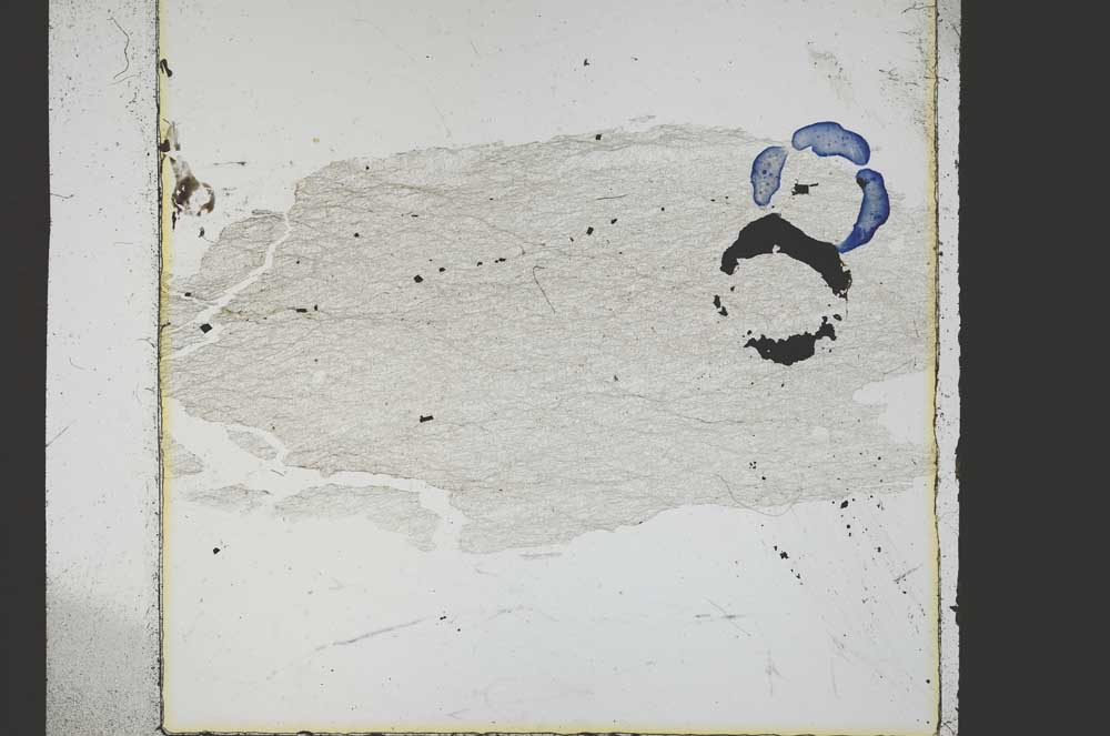 Plane Polarized, S38627