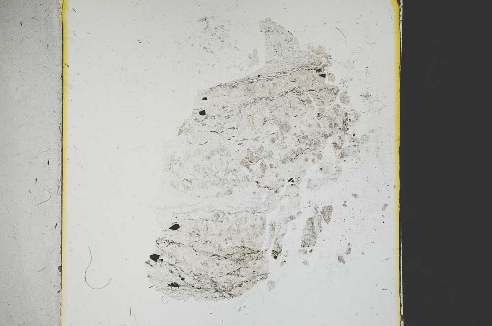 Plane Polarized, S38632