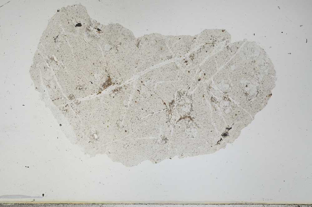 Plane Polarized, S38684