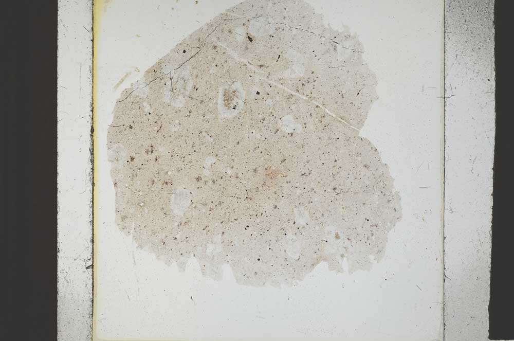 Plane Polarized, S38685