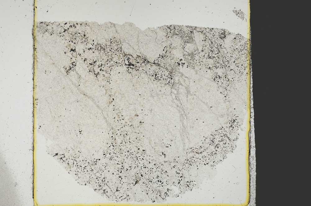 Plane Polarized, S38761