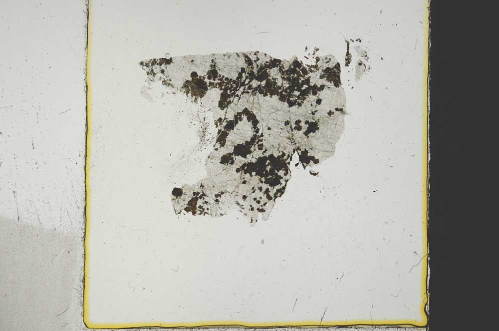 Plane Polarized, S38762