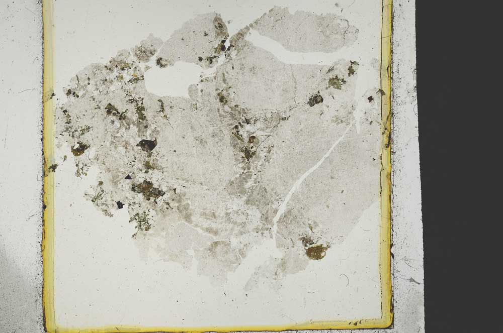 Plane Polarized, S38763