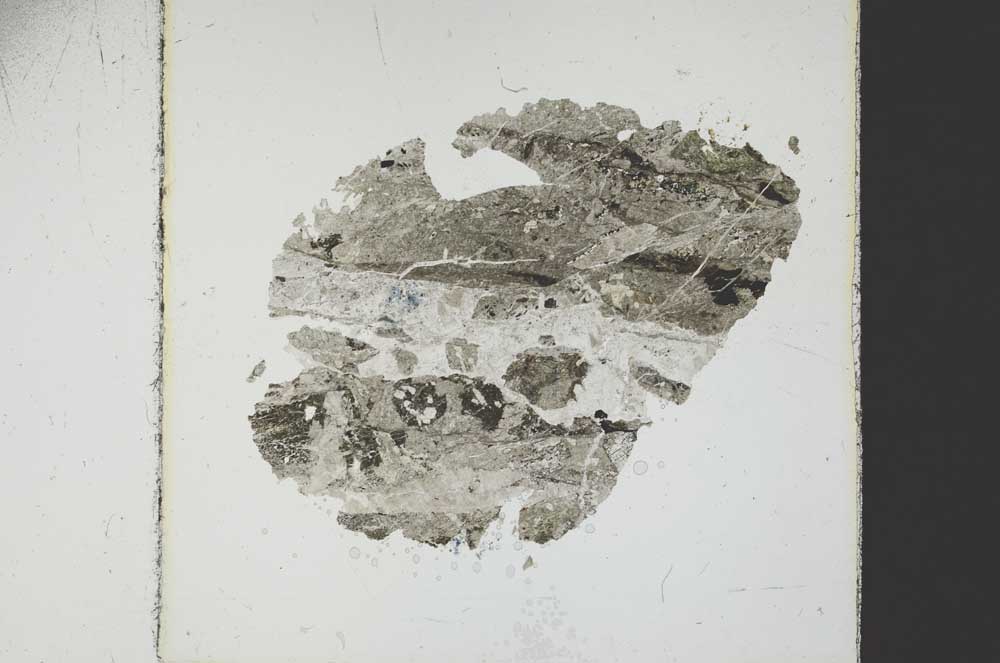 Plane Polarized, S38784