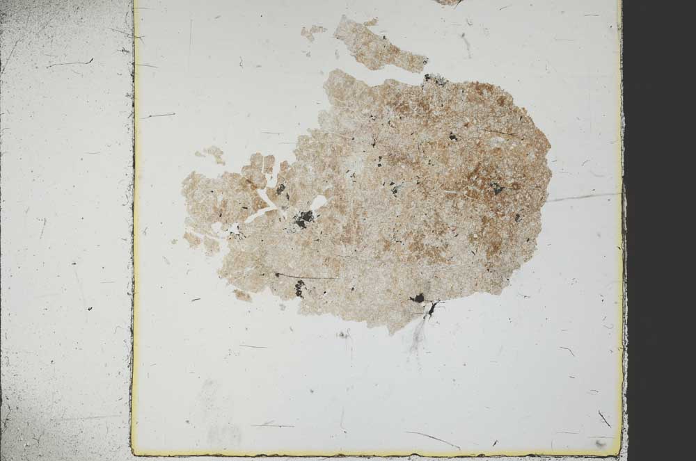 Plane Polarized, S38807