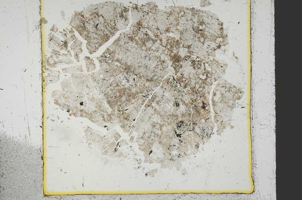 Plane Polarized, S38809