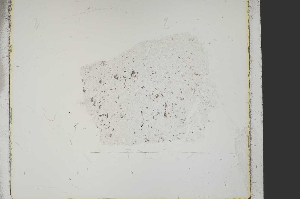 Plane Polarized, S38871