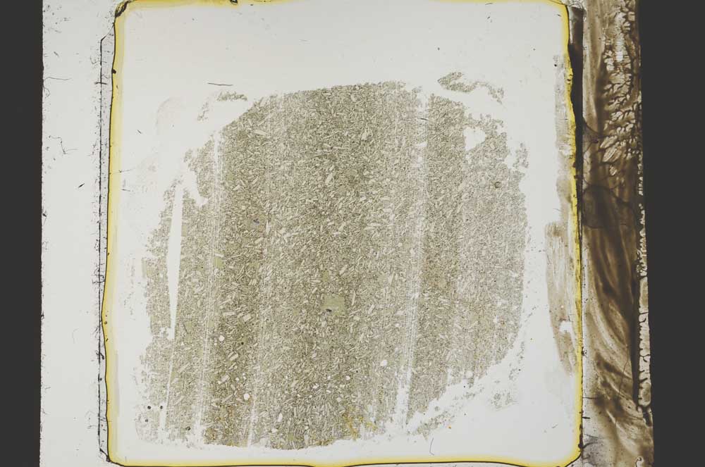 Plane Polarized, S38886