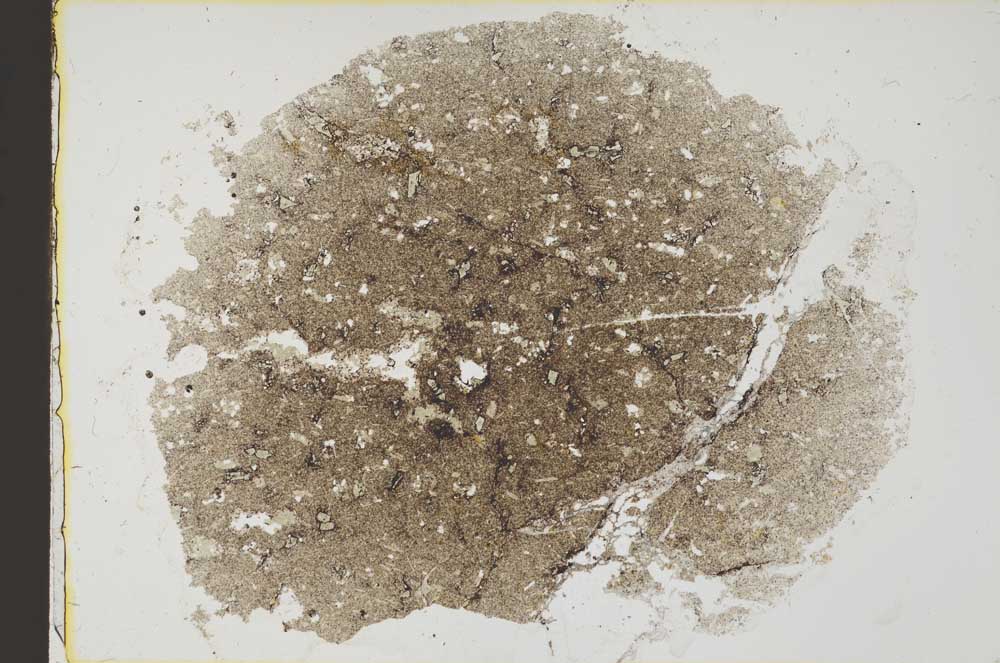 Plane Polarized, S38891