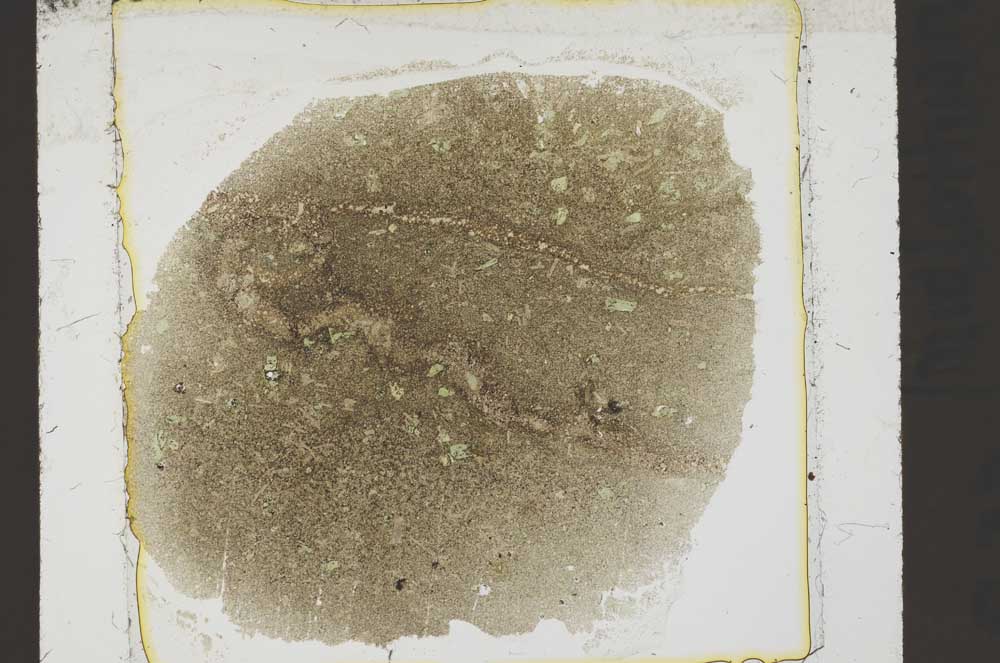 Plane Polarized, S38897