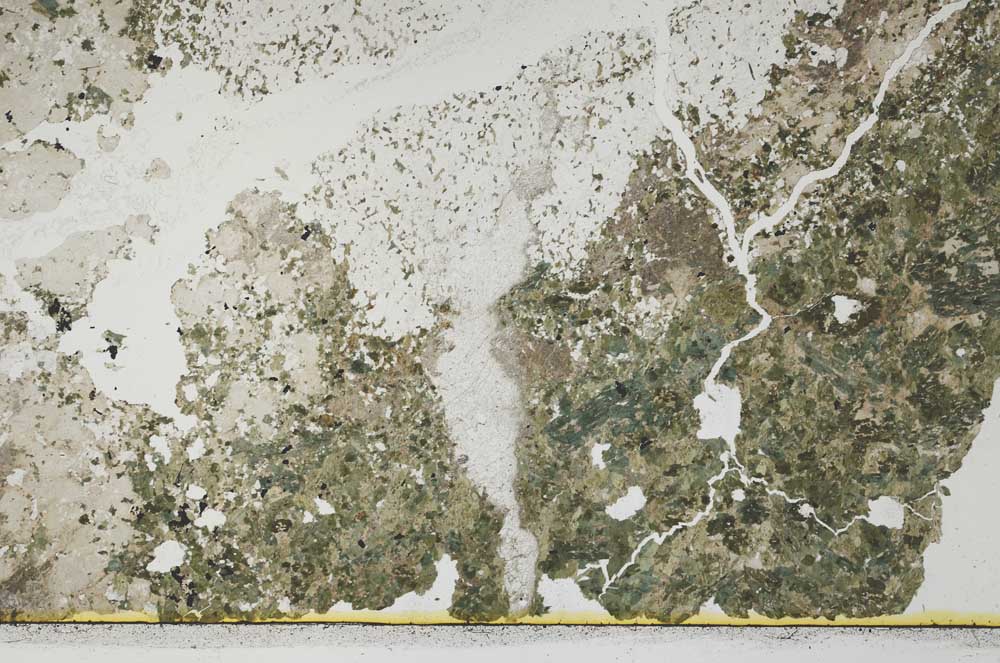 Plane Polarized, S38937
