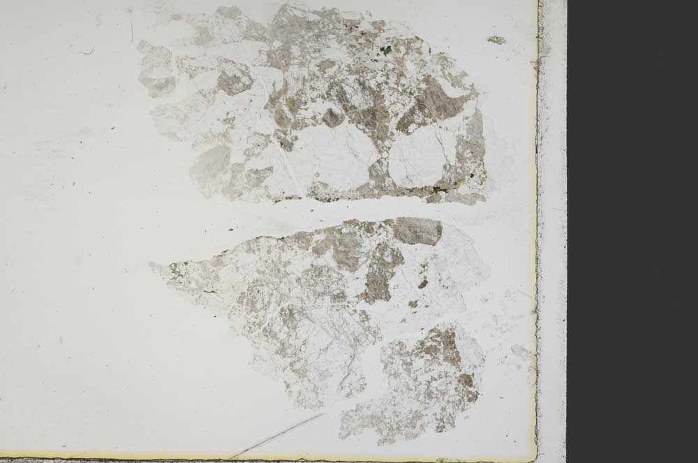 Plane Polarized, S38941