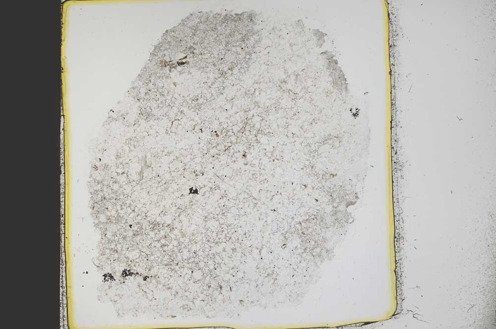 Plane Polarized, S38975