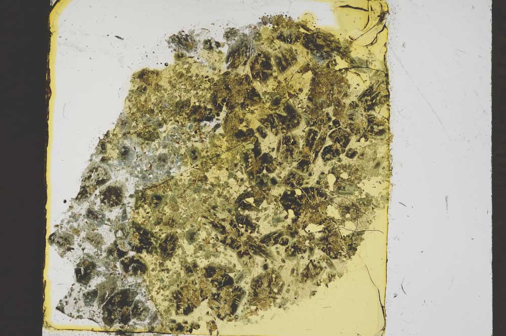 Plane Polarized, S38977