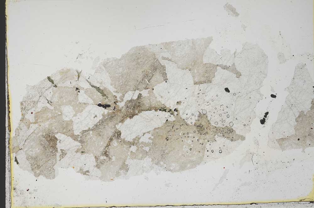 Plane Polarized, S38978/A