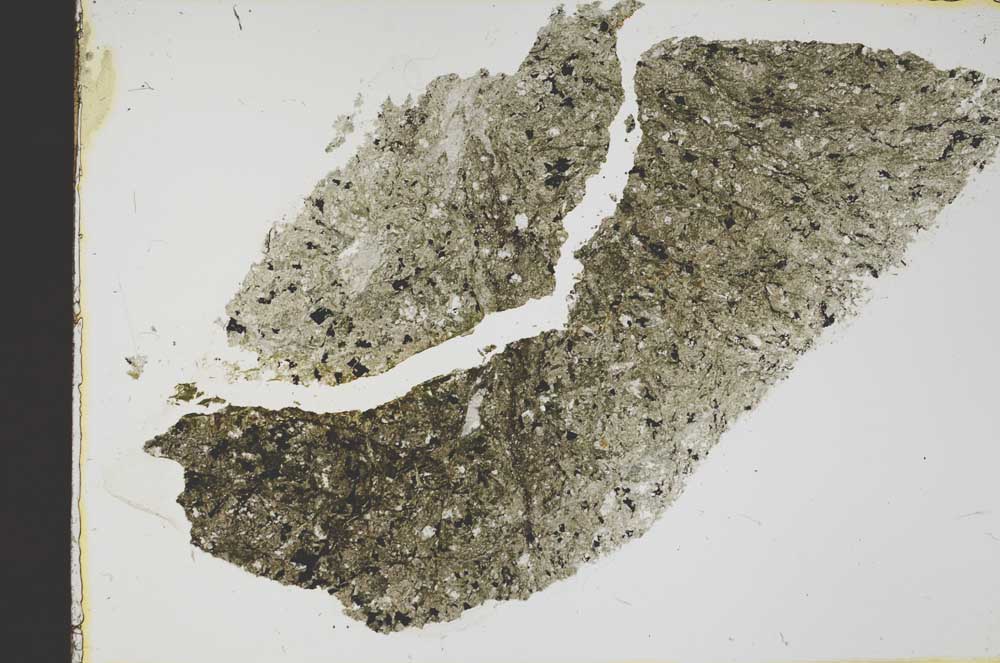 Plane Polarized, S39050