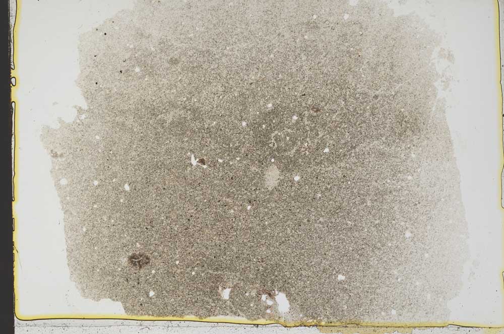 Plane Polarized, S39059