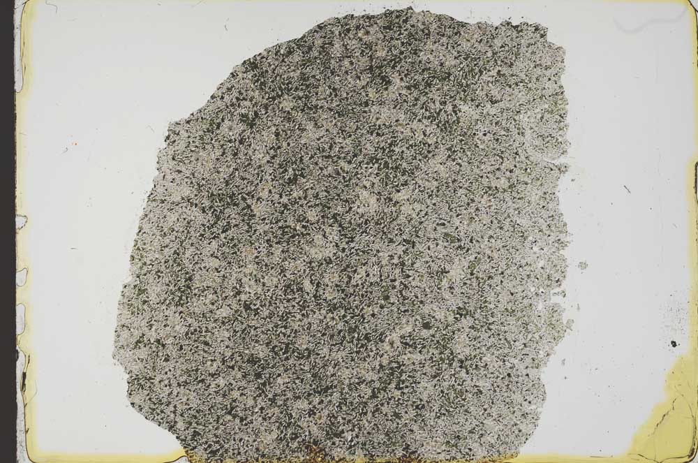 Plane Polarized, S39061