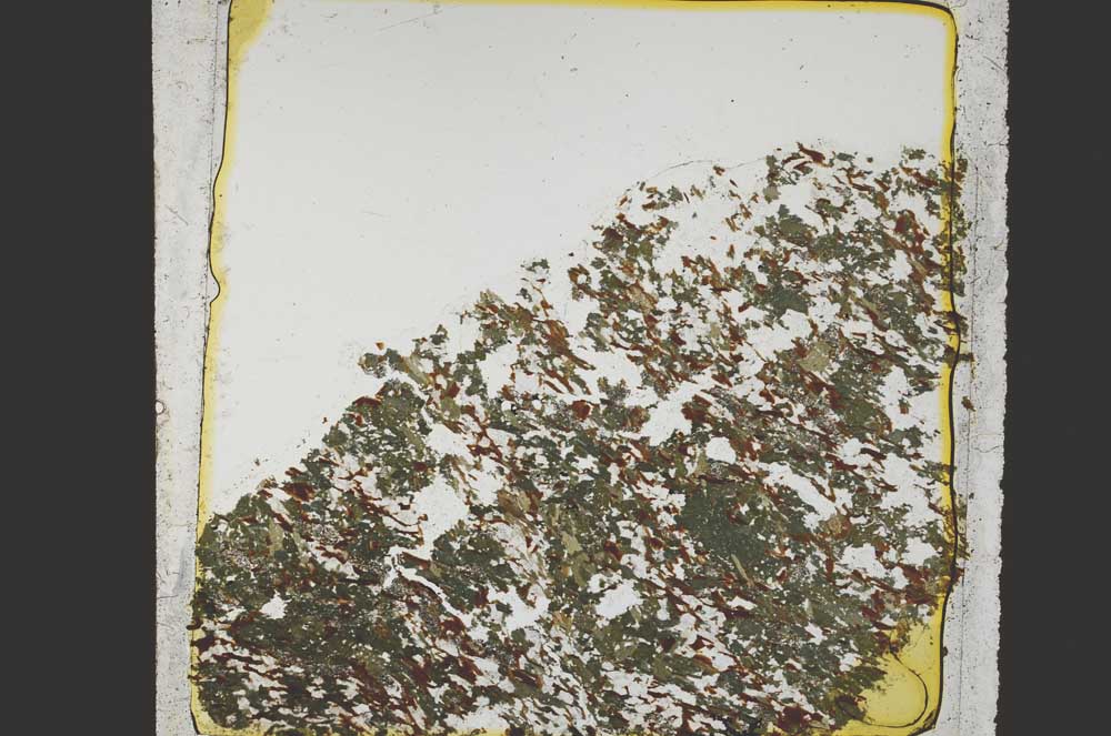 Plane Polarized, S39122