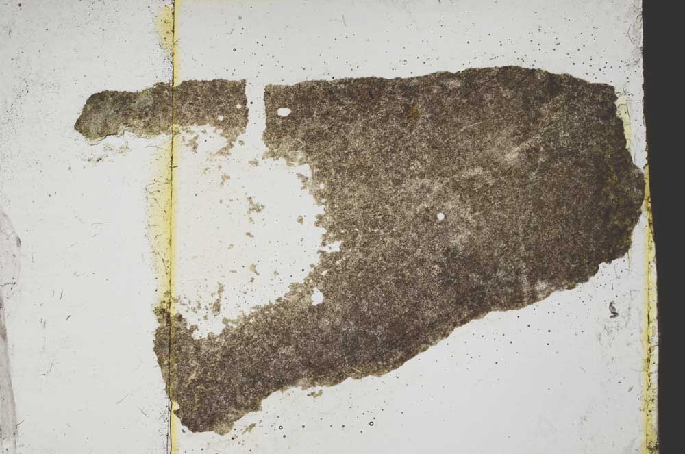 Plane Polarized, S39148