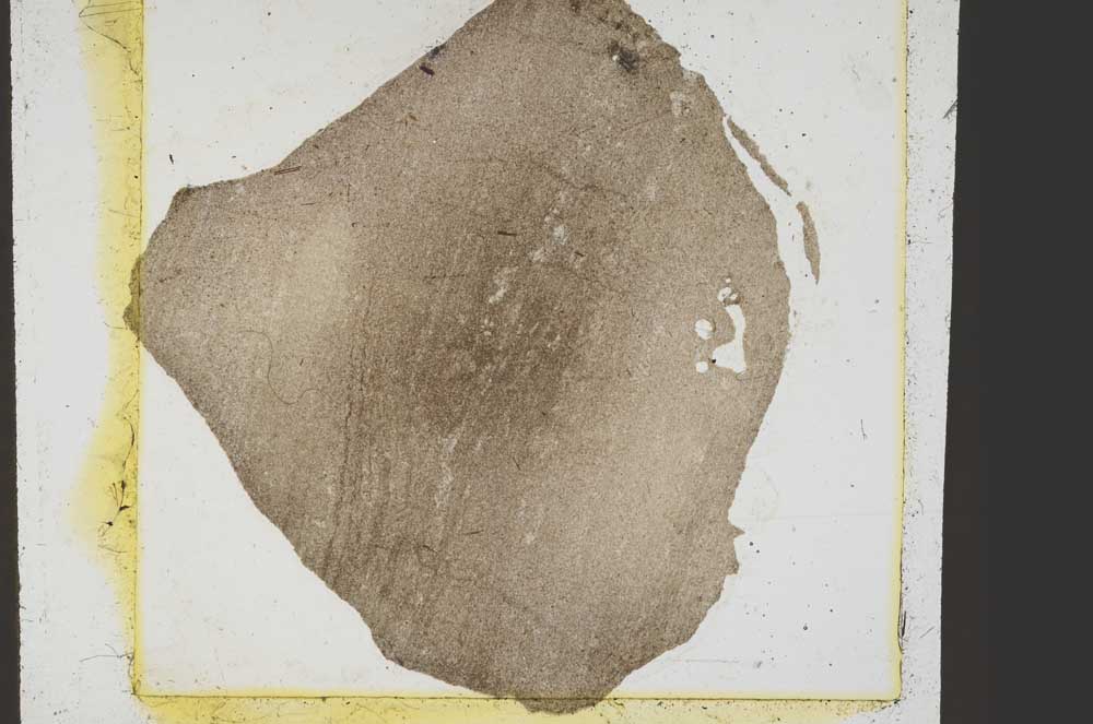 Plane Polarized, S39149
