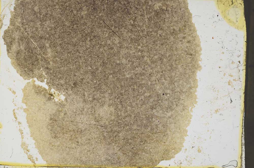 Plane Polarized, S39158