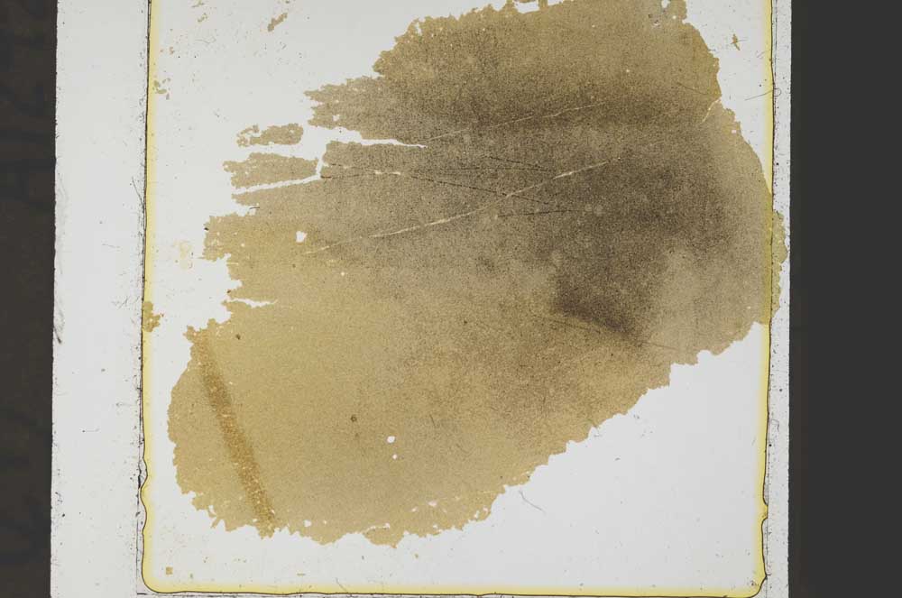 Plane Polarized, S39162