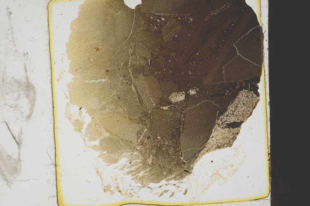 Plane Polarized, S39163