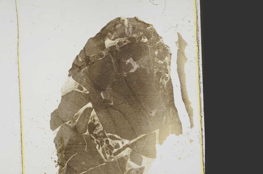 Plane Polarized, S39164