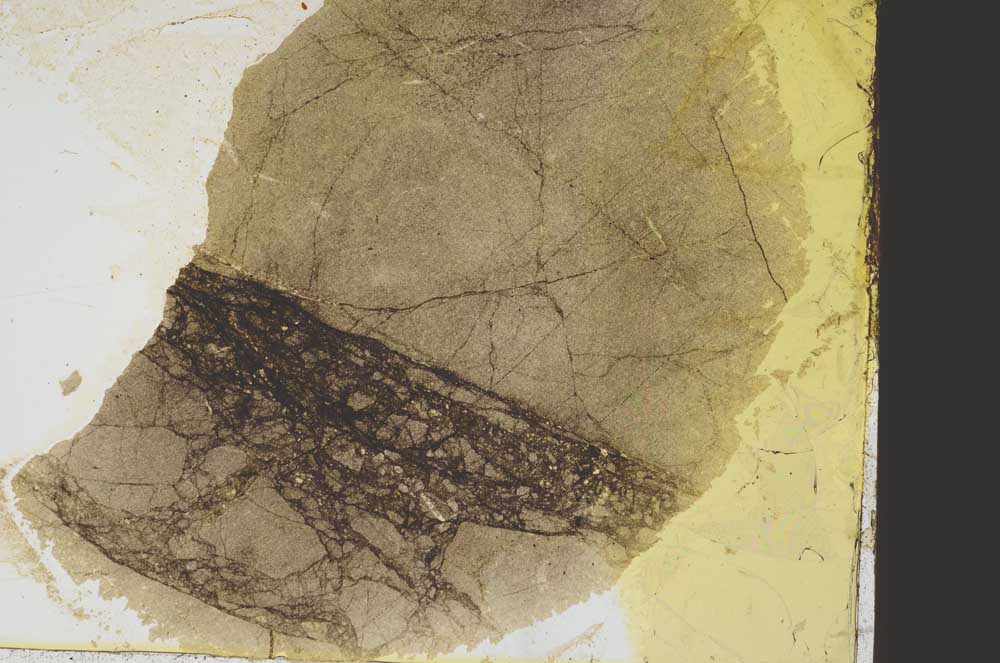 Plane Polarized, S39172