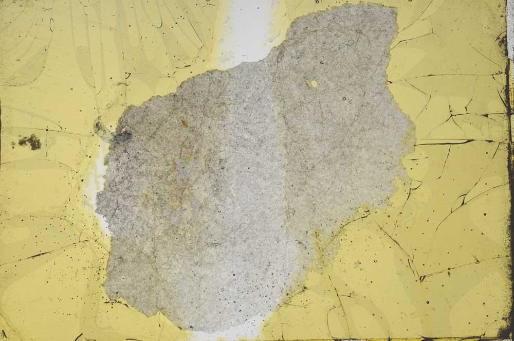 Plane Polarized, S39175