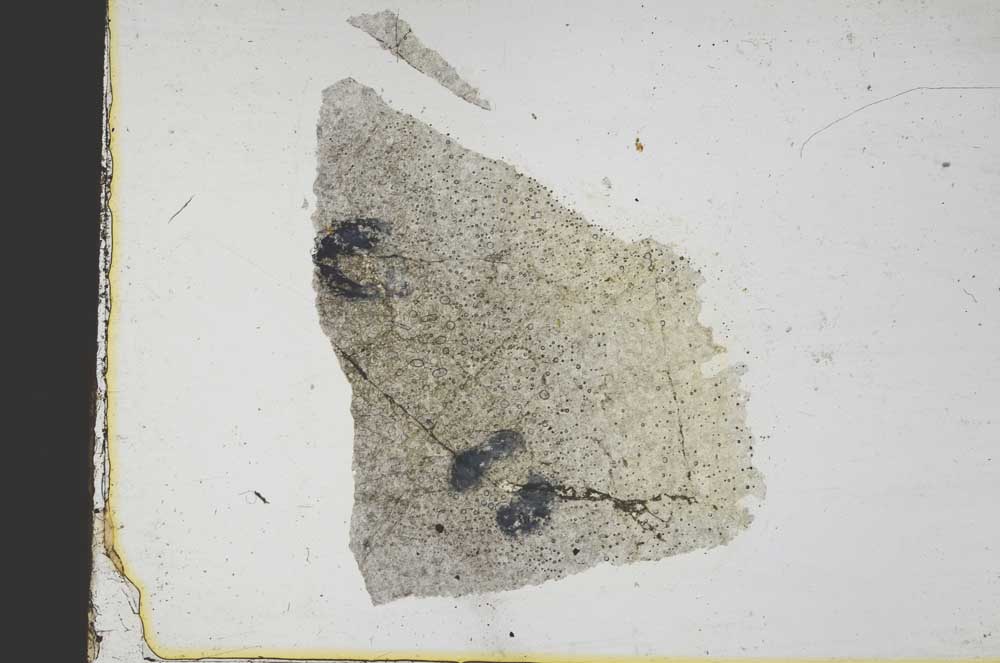 Plane Polarized, S39176
