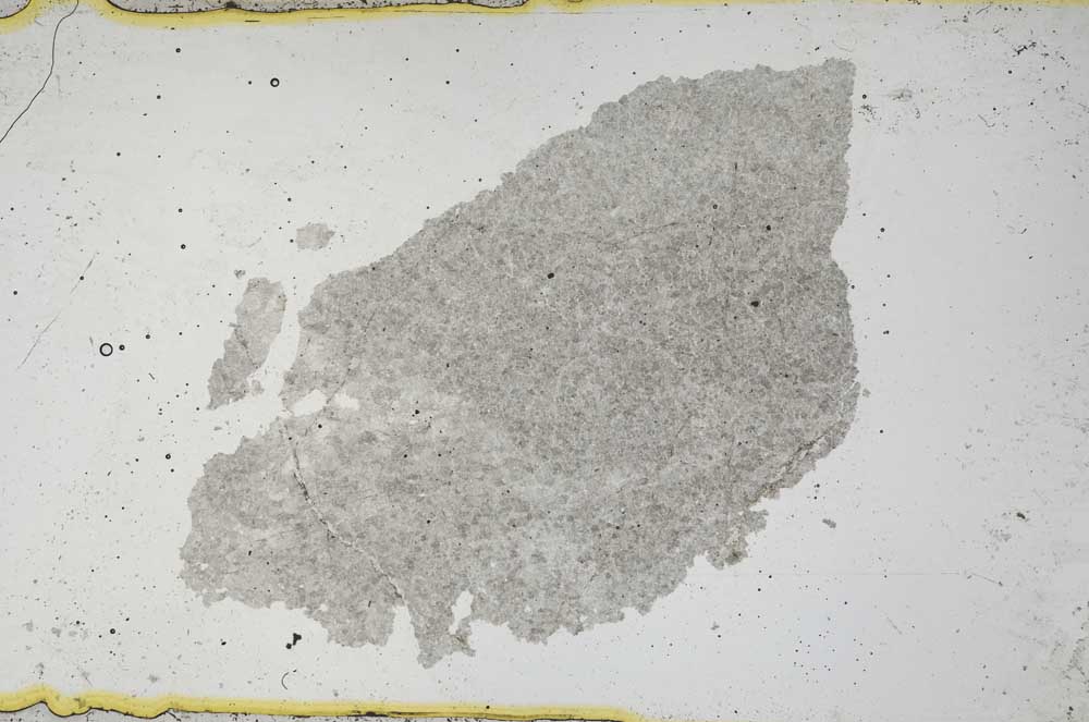 Plane Polarized, S39181