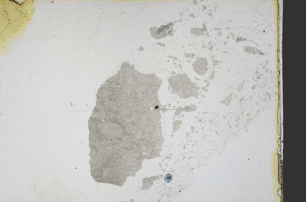 Plane Polarized, S39184