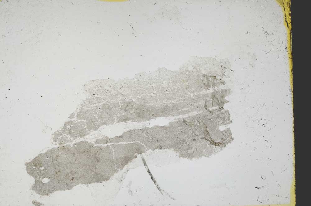 Plane Polarized, S39185
