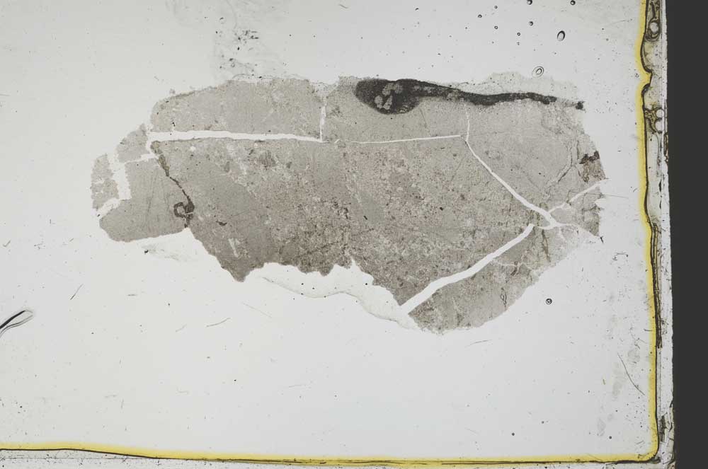 Plane Polarized, S39186