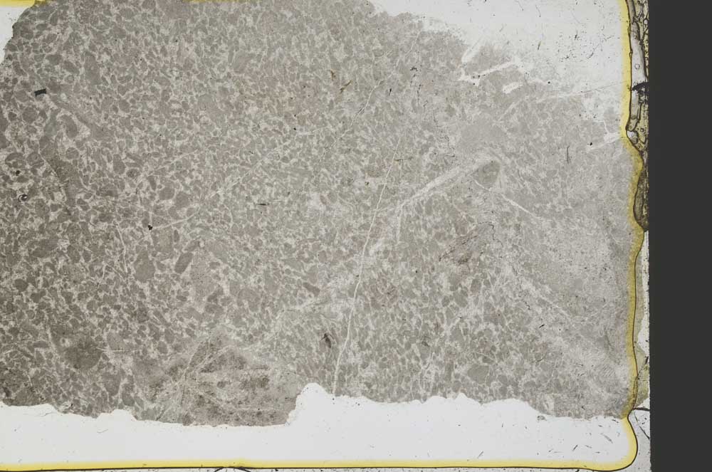 Plane Polarized, S39187