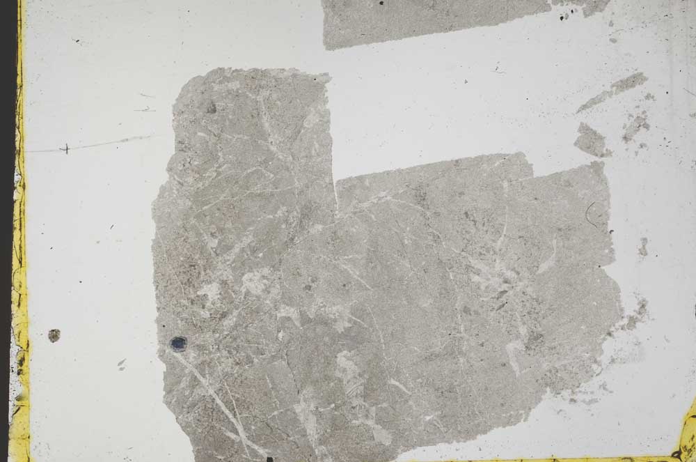 Plane Polarized, S39191