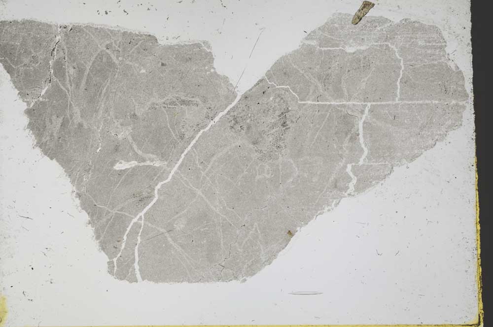 Plane Polarized, S39194