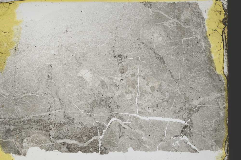 Plane Polarized, S39195