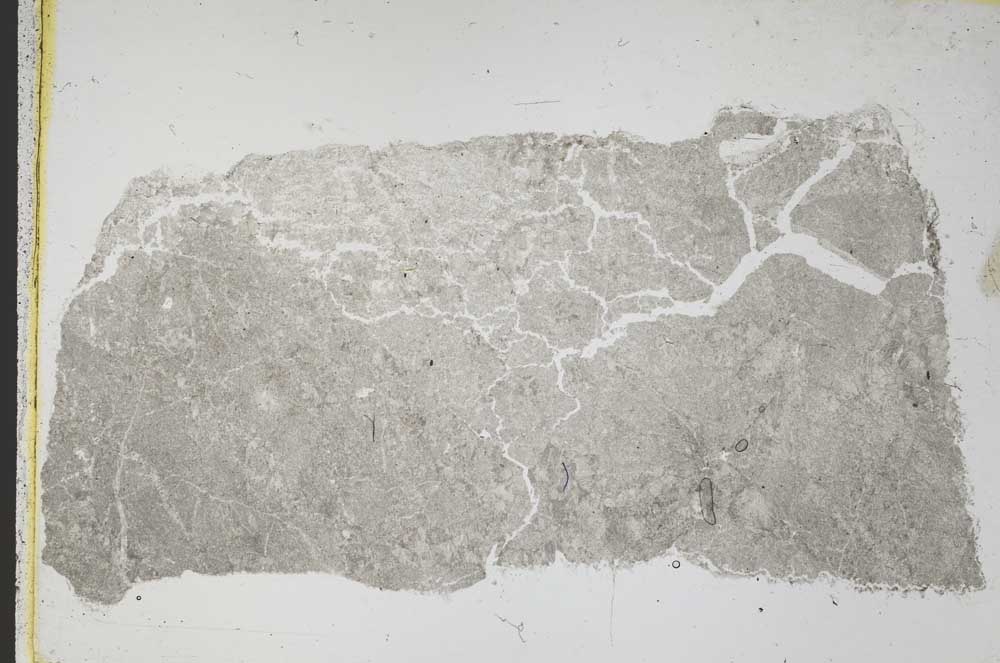 Plane Polarized, S39198
