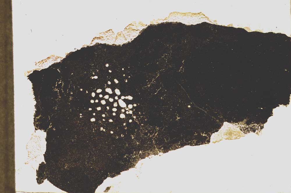 Plane Polarized, S39206
