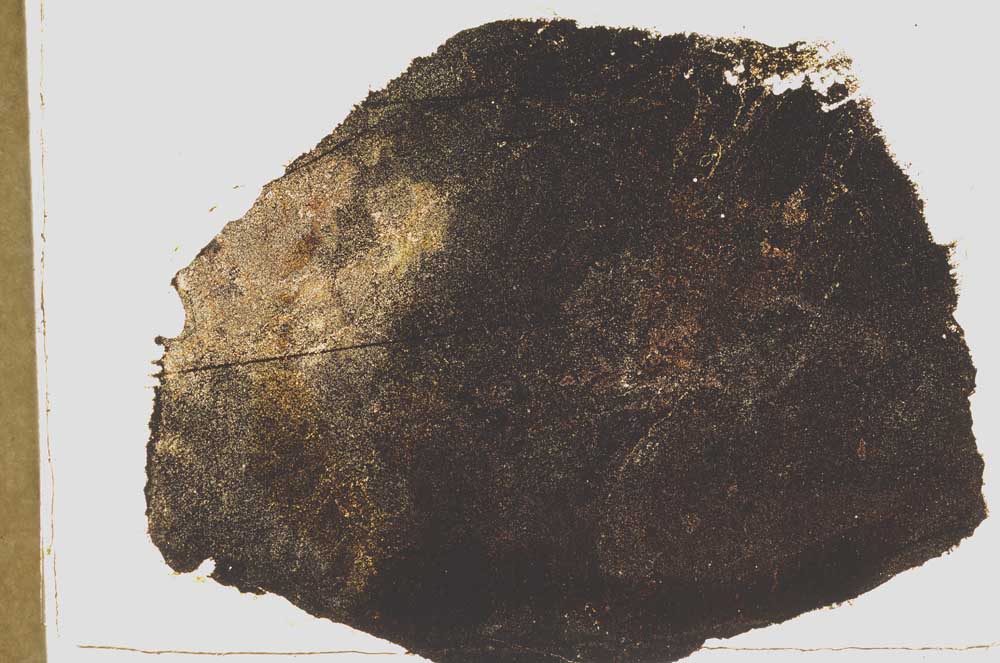 Plane Polarized, S39211