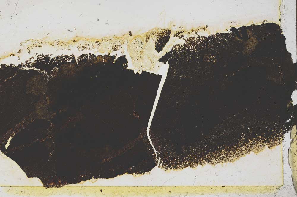 Plane Polarized, S39221