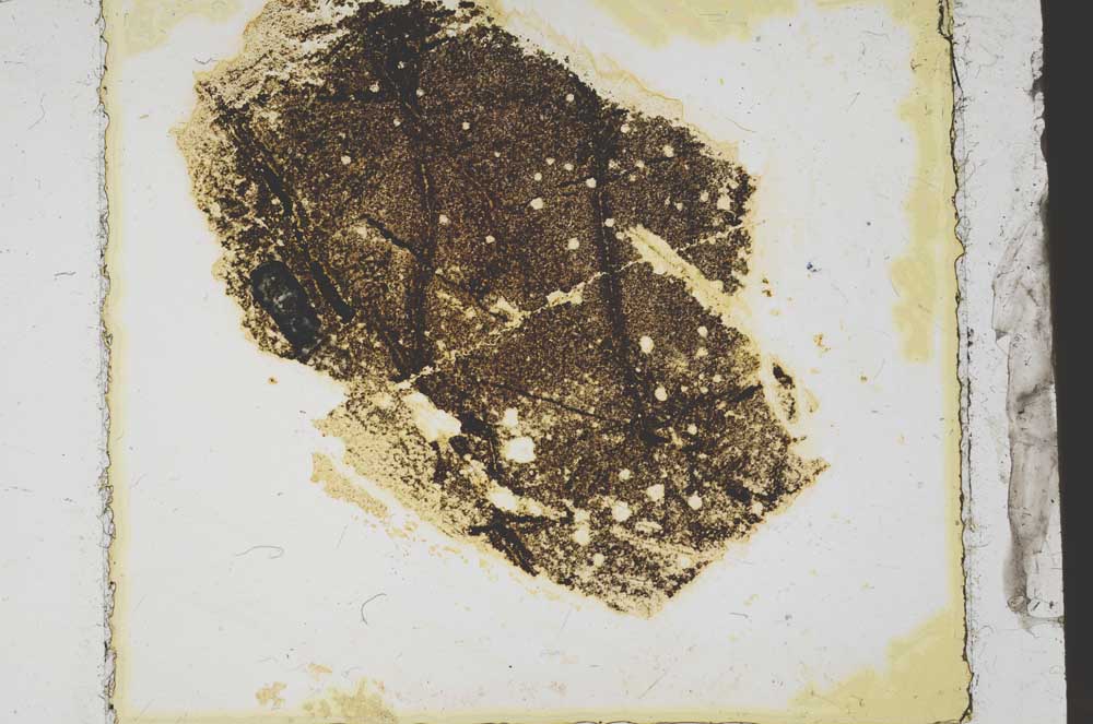Plane Polarized, S39223